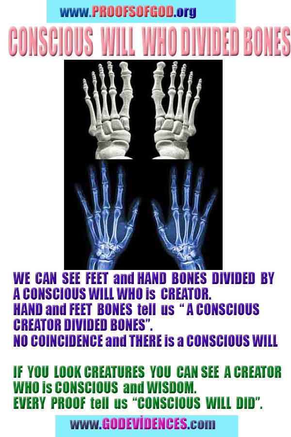 evidences of God, proofs of God, proof of God, signs of God, God is real proofs, God exists proofs, god's signs