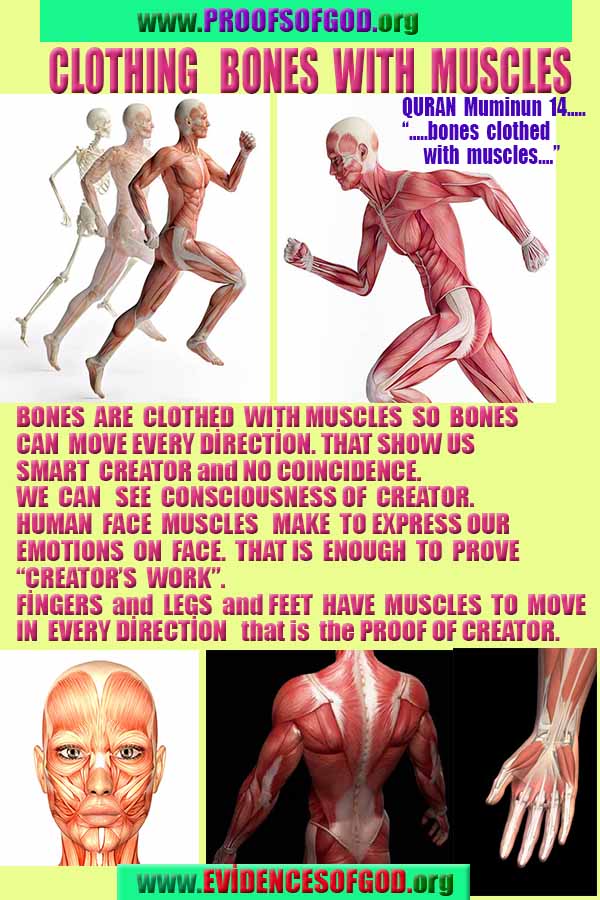 evidences of God, proofs of God, proof of God, signs of God, God is real proofs, God exists proofs, god's proofs